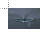 thunderbird.cur Preview