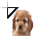 Cockerspaniel.cur Preview