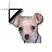 Chihuahua.cur Preview