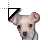 Chihuahua.cur