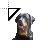 Rottweiler.cur Preview