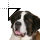 Saint Bernard.cur Preview