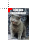 I Can Has Cheezburger Lolcat.cur Preview