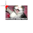 Invisible Sandwich Lolcat.cur Preview