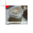 Trash Cat Lolcat.cur Preview