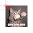 Pew Pew Pew Lolcat.cur Preview