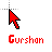 Gurshan.cur Preview
