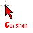 Gurshan.cur