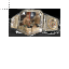 NEW WWE TITTLE.ani HD version