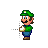 Luigi Move.ani Preview