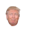 Trump.cur Preview