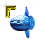 sunfish_mola_mola (5).cur HD version