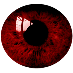 Red Fire Eye Icon