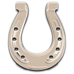 Horseshoe Silver Icon
