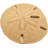 Sand Dollar.ico Preview