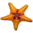 Starfish.ico Preview