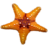 Starfish.ico