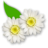 Flowers.ico