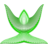 etoile-green 2-Worship.ico Preview