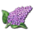 Lilac-purple.ico Preview
