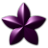 Purple Blossum Star.ico Preview