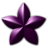 Purple Blossum Star.ico