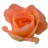 Rose peach 2.ico