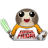 Porg Force Friday.ico Preview