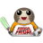 Porg Force Friday.ico