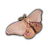 1200px-Emperor_Gum_Moth (1).ico Preview