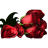 Red-Roses443-256x256x32.ico Preview