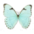 ~~BabyBlueButterFly~~.ico