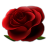 Red_Rose_Transparent_PNG_Image-256x256x32.ico Preview