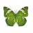 green-butterfly-grand-duchess-euthalia-450w-123872287-256x256x32 Preview