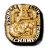 wings cup ring 2008 gold.ico Preview