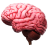 Brain 3D.ico Preview