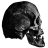 Skull.ico Preview