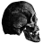 Skull.ico