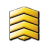 Gunnery_Sergeant_Grade_2.ico