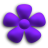 Purple.ico Preview