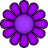 Purple.ico