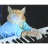 keyboard cat.ico Preview