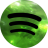 Spotify Space.ico Preview