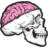 skull with brain .ico Preview