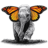 elephant with butterflys v2