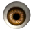eye-1_0000.ico Preview