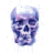 skull 4.ico