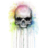 skull 17.ico Preview