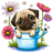 Dog and the flowers.ico