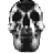 Chrome Skull 1.ico Preview
